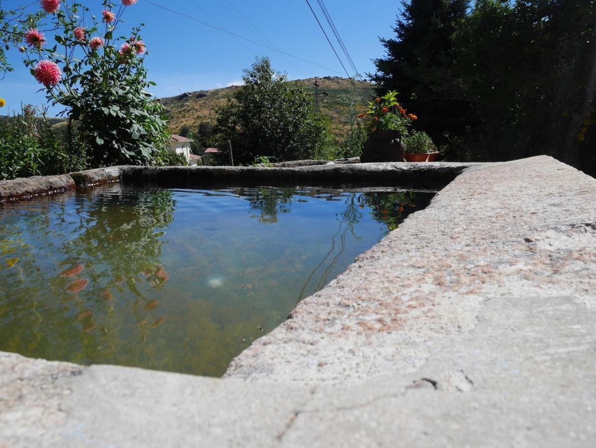 Casa De Campo Benfeito Buitenkant foto